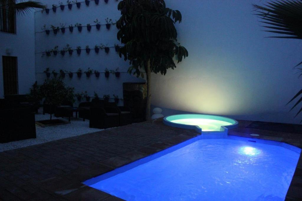 Casa Patio Palmeras 2 *